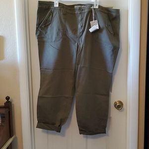Torrid Chino khaki pants